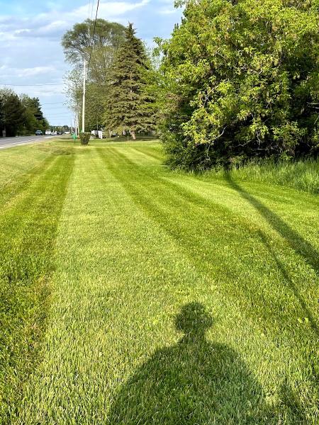 M.blue Landscaping