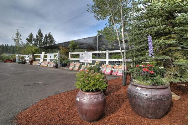 Rock & Rose Nursery + Landscape