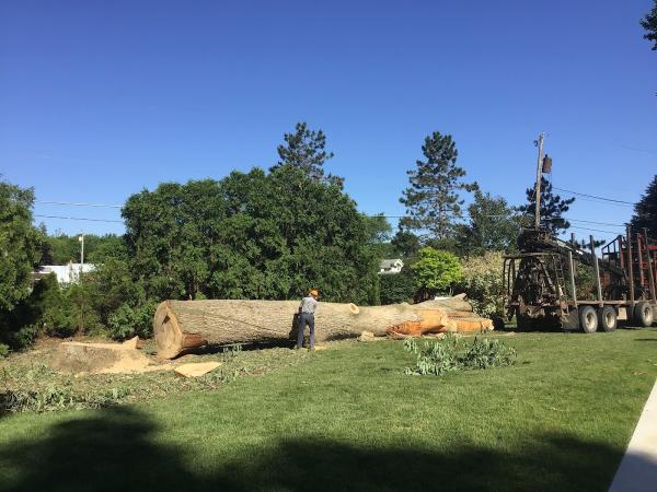 Kennyland Tree Works