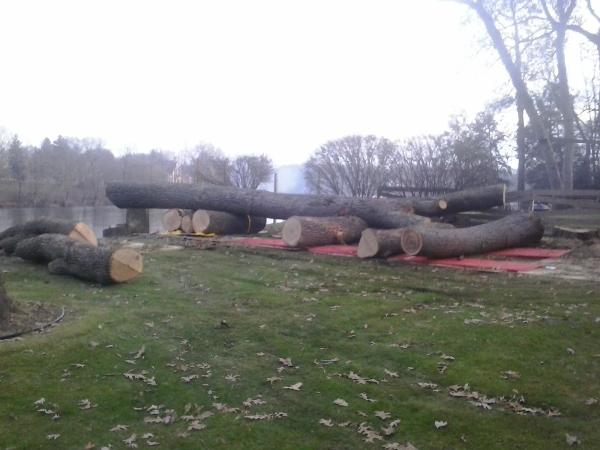 Kennyland Tree Works