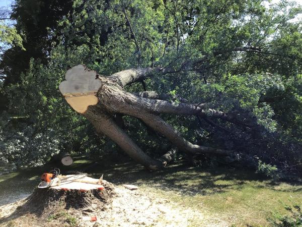 Kennyland Tree Works