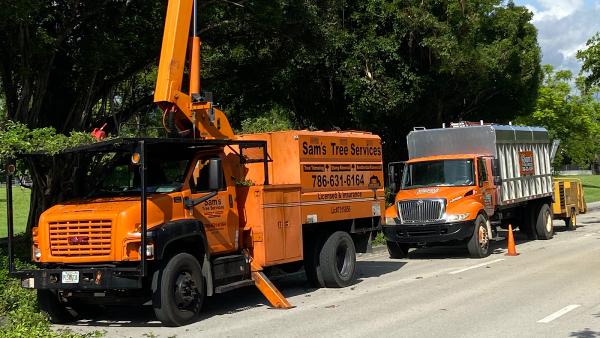 Sam's Tree Service