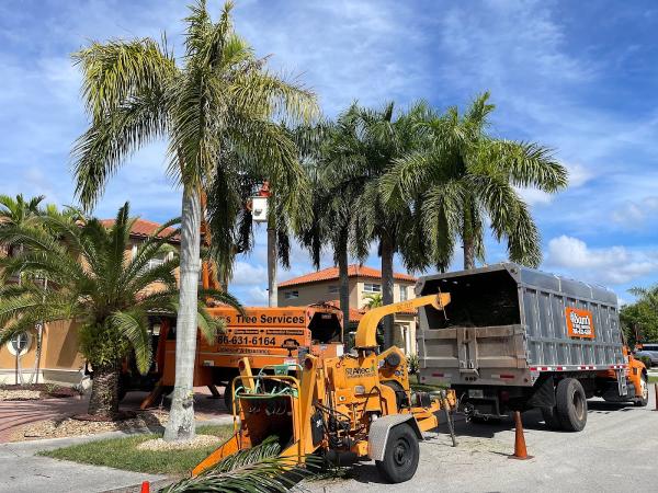 Sam's Tree Service