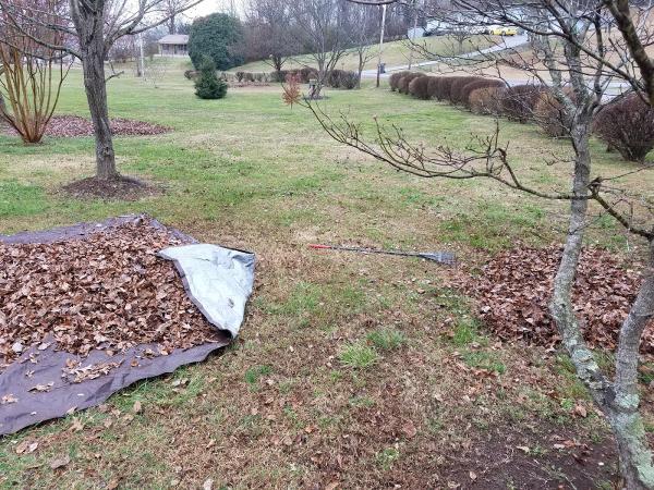 Golden Lawn Services