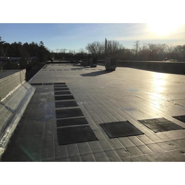 Feeley Brothers Roofing