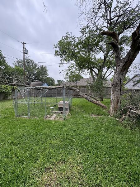 Chuy's Tree Service