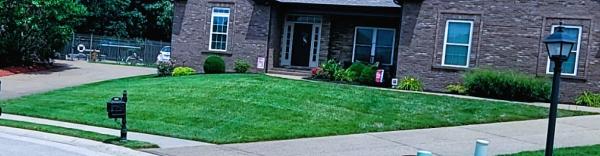 Newburgh Lawn & Landscape