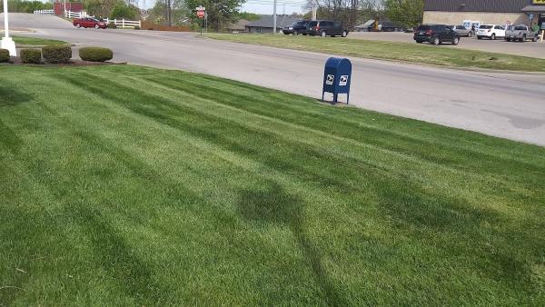 Newburgh Lawn & Landscape