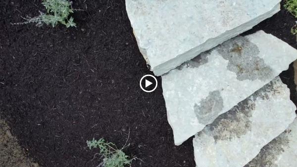 Verardi Landscapes LLC
