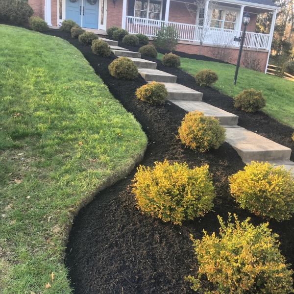 Verardi Landscapes LLC