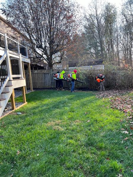 Green Nature Landscaping and More LLC