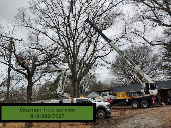 Guzman Tree Service