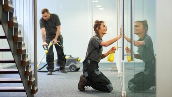 The Cleaning Pros