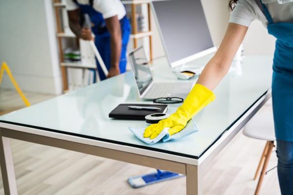The Cleaning Pros