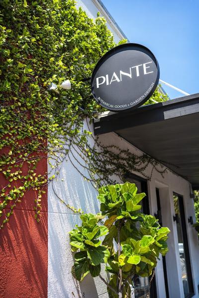 Piante Design