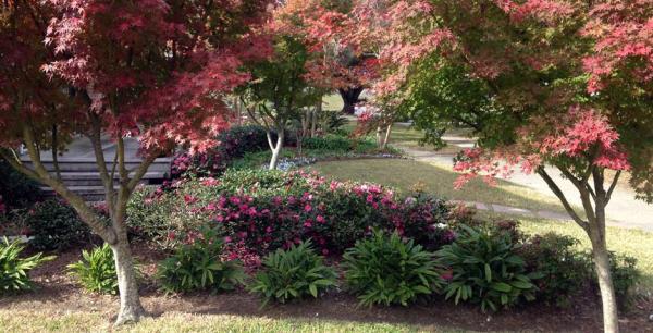 Ponseti Landscaping