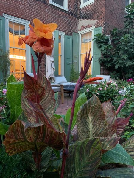 Citygreen Gardening
