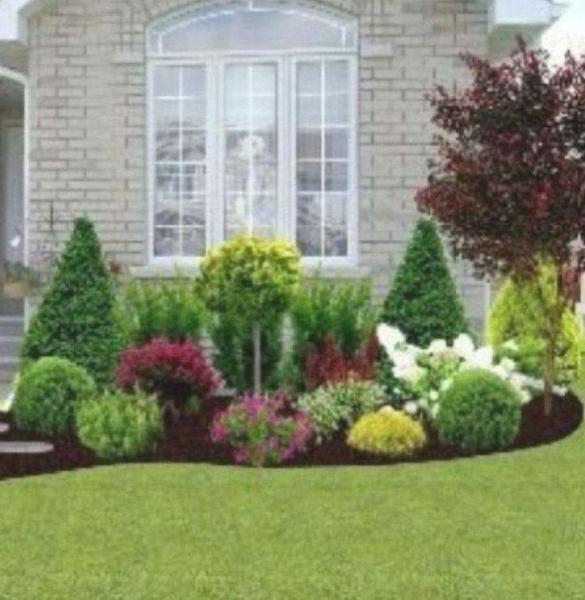 Ariel Builders Landscape Specialist
