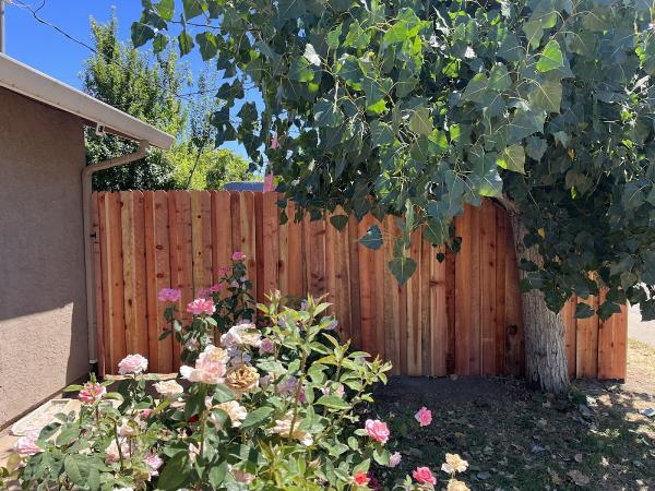 O & U Fencing