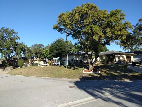 All American Cut Lawn Services