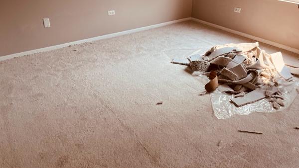 Modern Carpet. Cleaning