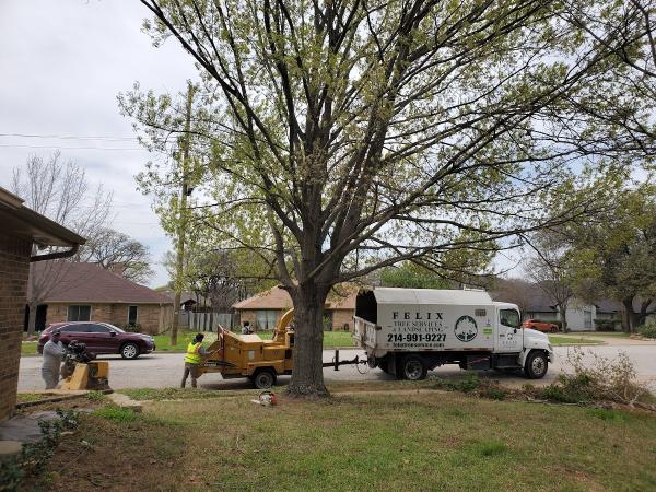 Felix's Tree Service