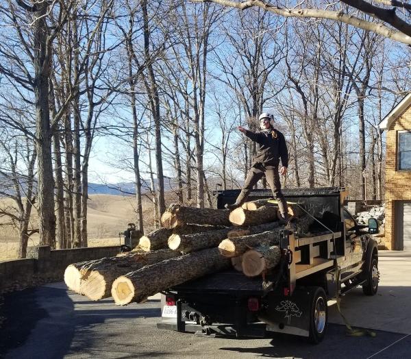 Queen City Silviculture