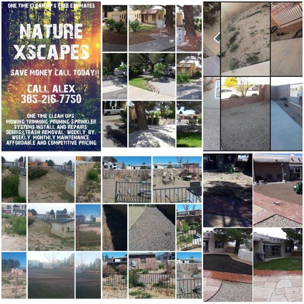 Nature Xscapes