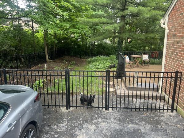 Mae Fence Company