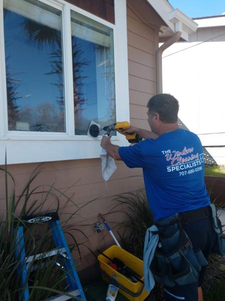 The Window Cleaning Specialists
