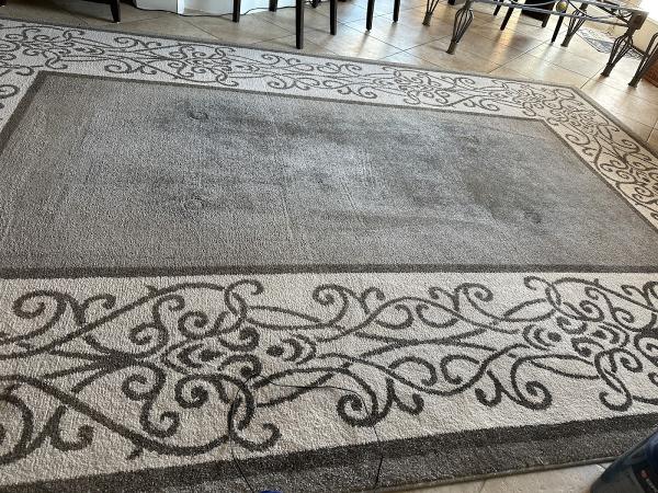 Express Carpet Cleaning