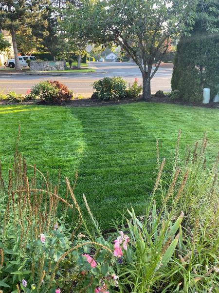 Hillside Landscape Maintenance