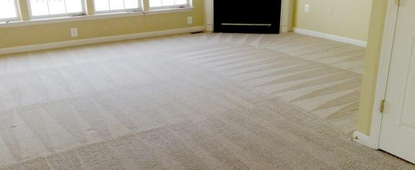 Bruce's Carpet Cleaning & Carpet Repairs