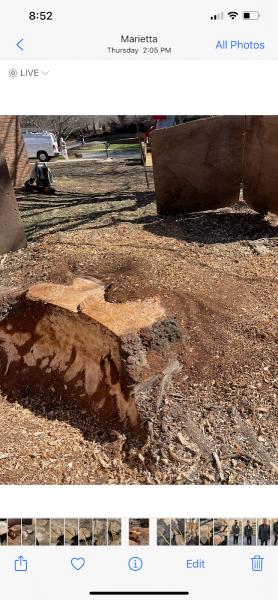 Luis Stump Grinding LLC