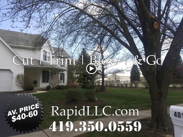Rapid LLC