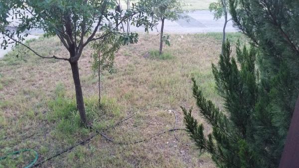 Rockin J Fence