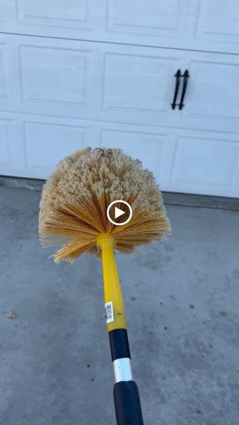 Main Street Exterminator