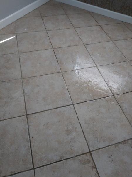 LM Professional Cleaning Services