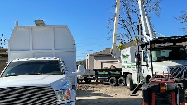 Rising Green Inc Tree Service