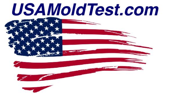 Bronx Mold Testing