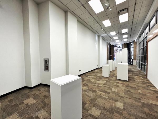 Tj's Professional Painting and Construction LLC
