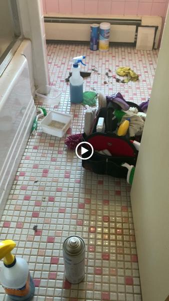 Celeste's Cleaning Services LLC