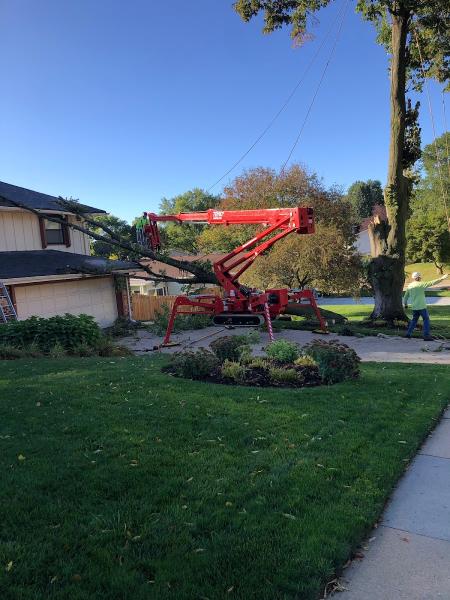 Konfrst Tree Service