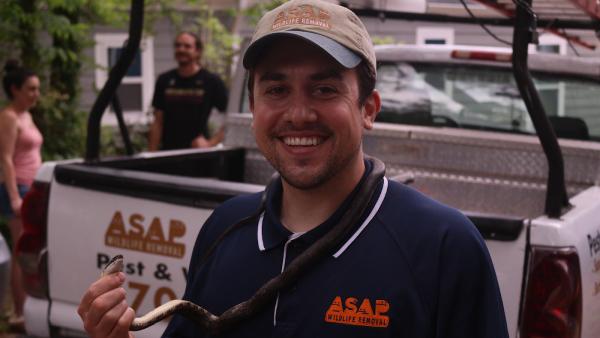 Asap Pest & Wildlife Removal