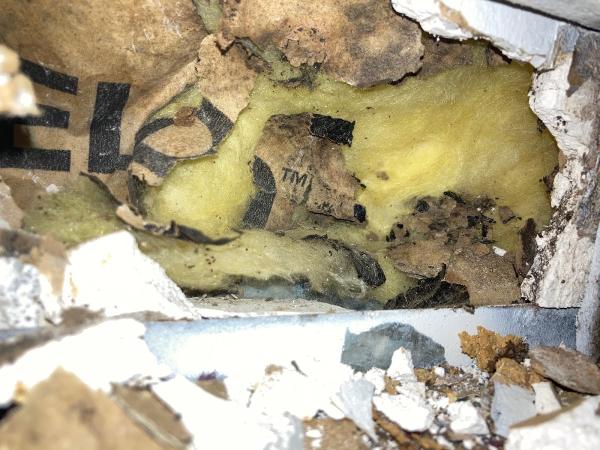 Mold Busters Tulsa