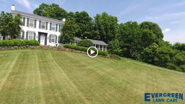 Evergreen Lawn Care