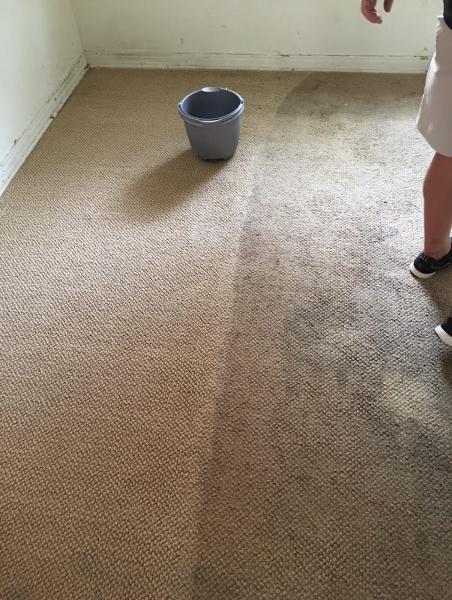 Clean Service By Shaw
