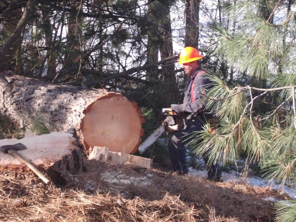 Eagle Logging Inc