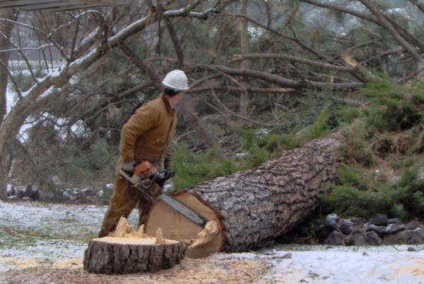 Eagle Logging Inc