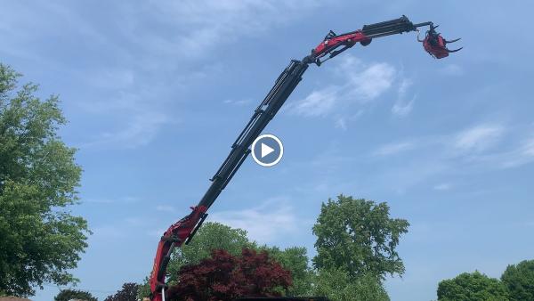 Tony's Tree Service Buffalo